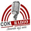 undefined Cok radio