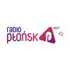 undefined Radio PLONSK 93.6 FM