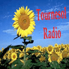 undefined Tournesol Radio