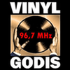 undefined Vinylgodis