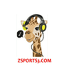 undefined ZSPORTS3.COM