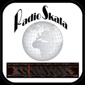 Radio radio-skala