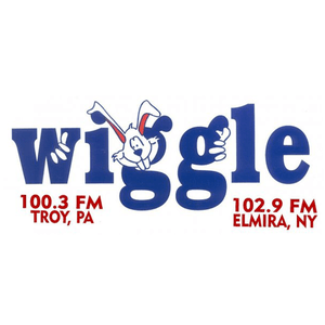 Słuchaj WHGL-FM - Wiggle 100.3 w aplikacji