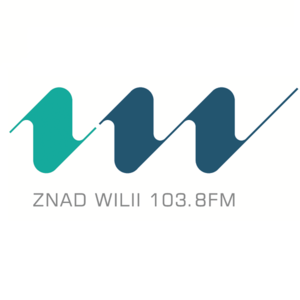 Znad Wilii