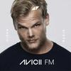 undefined AVICII FM