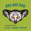 undefined Aye-aye Pod