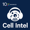 undefined Cell Intel