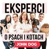 undefined Eksperci o psach i kotach