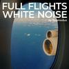 undefined FULL FLIGHTS - WHITE NOISE