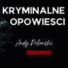 undefined Andy Polanski - Kryminalne opowieści