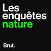 undefined Les enquêtes nature