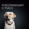 undefined Porozmawiajmy o Psach