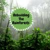 undefined Rebuilding the Rainforests