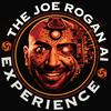 undefined The Joe Rogan AI Experience