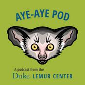 Podcast Aye-aye Pod