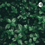 Podcast Back to Nature: Waterfall , Deep Relax