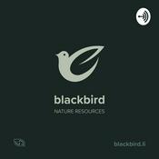 Podcast BlackBird