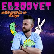 Podcast Egzoovet - weterynaria w eterze