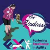 Podcast Fostering Excellence in Agility