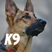 Podcast K9