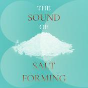 Podcast The Sound of Salt Forming