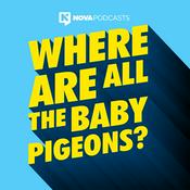 Podcast Where Are All The Baby Pigeons?