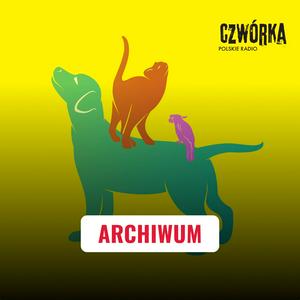 Słuchaj Animalsi | Czwórka w aplikacji