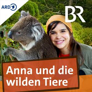 Słuchaj Anna und die wilden Tiere w aplikacji