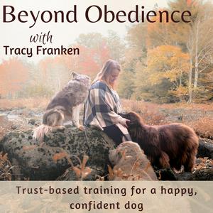 Słuchaj Beyond Obedience | Dog Training, Dog Behaviour Training, Scared Dogs, Reactive Dogs w aplikacji