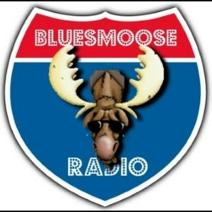 Słuchaj Blues Moose Radio (Blues music) w aplikacji