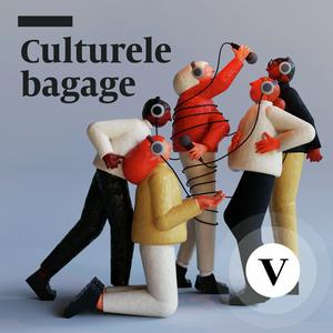 Słuchaj Culturele bagage w aplikacji