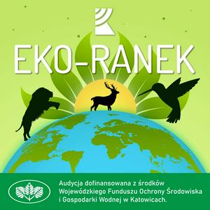 Słuchaj Eko-Ranek | Radio Katowice w aplikacji