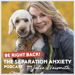 Słuchaj Be Right Back! The Separation Anxiety Podcast w aplikacji