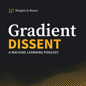 Słuchaj Gradient Dissent: Conversations on AI w aplikacji