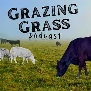 Słuchaj Regenerative Ag Stories on the Grazing Grass Podcast w aplikacji