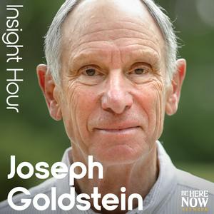 Słuchaj Insight Hour with Joseph Goldstein w aplikacji