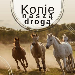 Słuchaj Konie naszą drogą w aplikacji