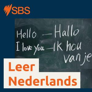 Słuchaj Learn Dutch - Leer Nederlands w aplikacji