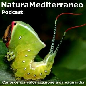 Słuchaj Natura Mediterraneo Podcast w aplikacji