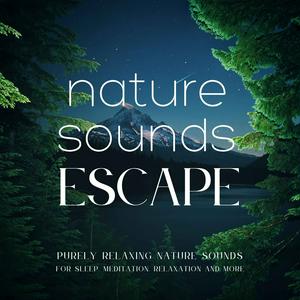 Słuchaj Nature Sounds Escape | Purely Relaxing Nature Sounds For Sleep, Relaxation, Meditation, Mindfulness, Study & Focus | Ambient Sounds Of Nature | Rain Sounds, Ocean Waves, Waterfall, River Sounds, Singing Birds, Beach, 8D Sounds, ASMR, White Noise & More w aplikacji