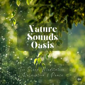 Słuchaj Nature Sounds Oasis | Relaxing Nature Sounds For Sleep, Meditation, Relaxation Or Focus | Sounds Of Nature | Sleep Sounds, Sleep Music, Meditation Sounds, Ocean Waves, Rain, White Noise & More w aplikacji