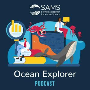 Słuchaj SAMS Ocean Explorer w aplikacji