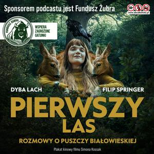 Słuchaj Pierwszy las w aplikacji