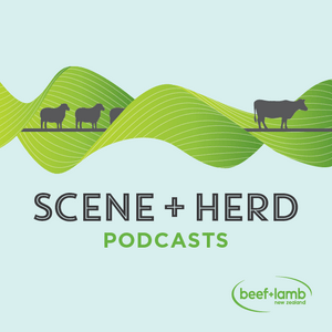 Słuchaj Scene + Herd: Podcasts from Beef + Lamb New Zealand w aplikacji