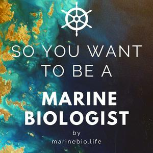 Słuchaj So You Want to Be a Marine Biologist w aplikacji