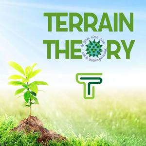 Słuchaj Terrain Theory w aplikacji