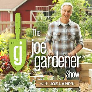 Słuchaj The joe gardener Show - Organic Gardening - Vegetable Gardening - Expert Garden Advice From Joe Lamp'l w aplikacji