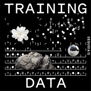 Słuchaj Training Data w aplikacji