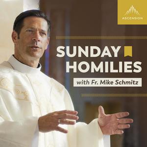 Słuchaj Sunday Homilies with Fr. Mike Schmitz w aplikacji