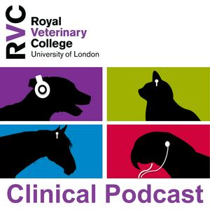 Słuchaj Veterinary Clinical Podcasts w aplikacji